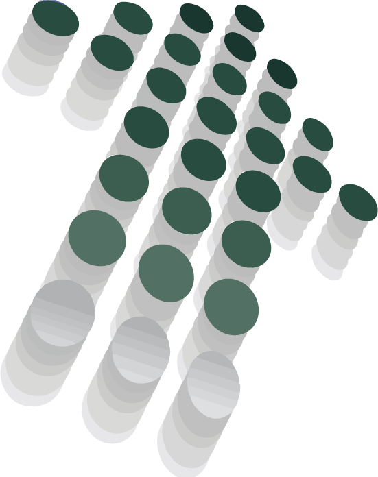 Logo edit LIDER - Luis Aguirre